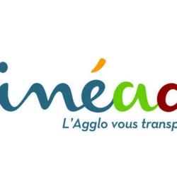 Linéad
