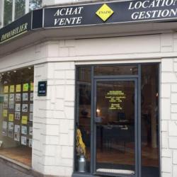 Sector Immobilier