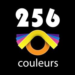 Agence Seo Lyon - 256 Couleurs