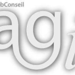 Agi Webconseil