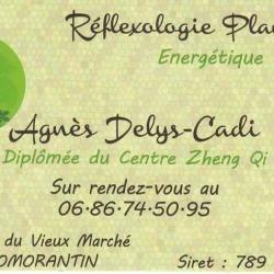 Agnès Delys Cadi