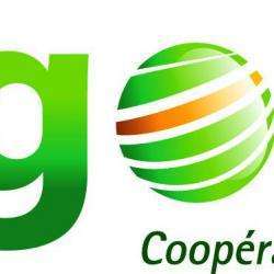 Agora Cooprative Agricole