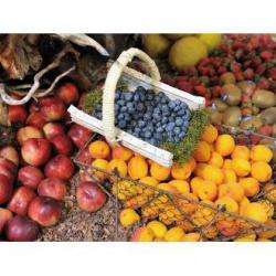 Agri Bio Agri Commerce