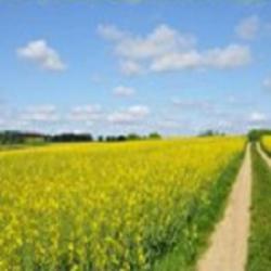 Agri Estuaire
