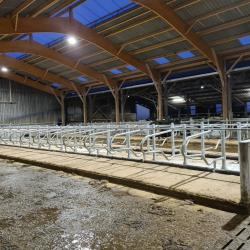 Agri Melesse
