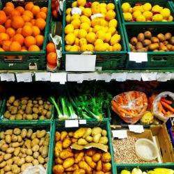 Agro Alimentaire Services