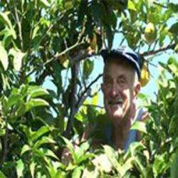 Agrumiculteur Du Mentonnais
