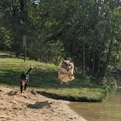 Aid’duc Canin