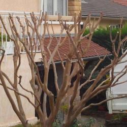 Aide-o-jardin