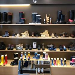 Aigle