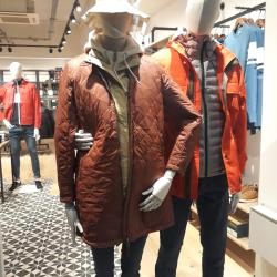 Aigle
