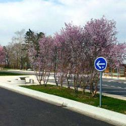 Aire De La Noblette