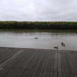 Aire De La Baie De Somme