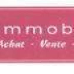 Aj Immobilier