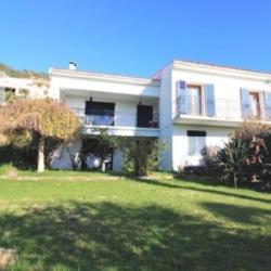 Ajaccio Immobilier