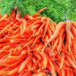 Al-terre-ferme