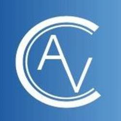 Alain Vialle Conseils