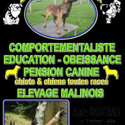 Alain Saugrain
