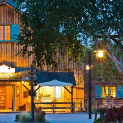 Alamo Trading Post