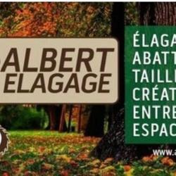 Albert Elagage Abattage D'arbres