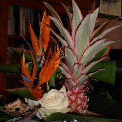 Albizia
