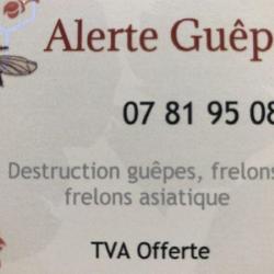 Alerte Guepes