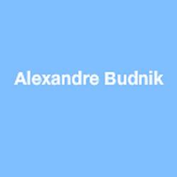 Alexandre Budnik