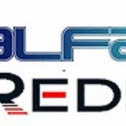 Alfapi