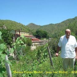 Alfred Molet Afaam Association