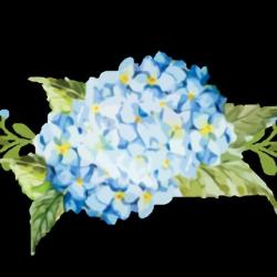 Alice Fleurs
