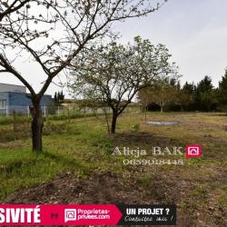 Alicja Bak Conseillère Immobilier - 11400 Castelnaudary