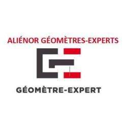 Alienor Geometres-experts