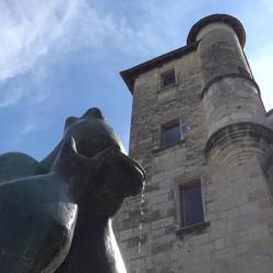 All4home - Ménage, Repassage Et Garde D'enfants à Périgueux - Limoges - Brive - Angoulême