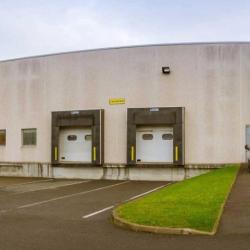 Alliance Automotive - Sas France