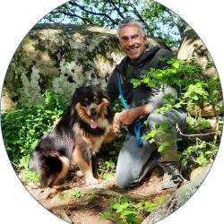 Alliance Canine - Stéphane Poulaud