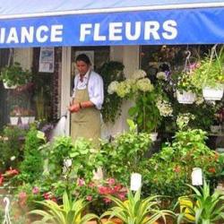 Alliance Fleurs