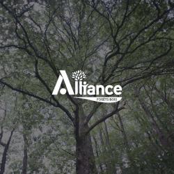 Alliance