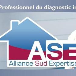 Alliance Sud Expertise Ase