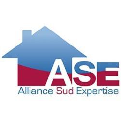 Alliance Sud Expertise Vannes