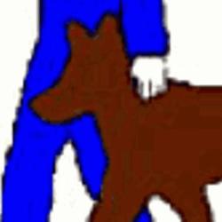 Allo Dressage Service
