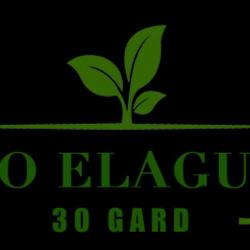 Allo élagueur Dans Le 30 : Le Bon Choix