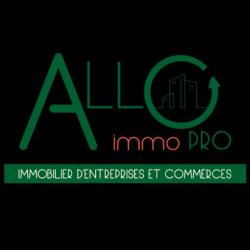 Allo Immo Pro