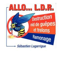 Allo Ldr