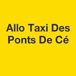 Allo Taxi Des Ponts De Cé