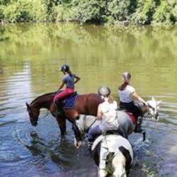 Allonnes Equitation