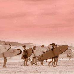 Aloha-école De Surf