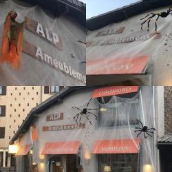 Alp Ameublement