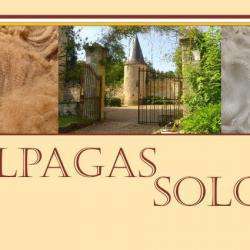 Alpagas Sologne