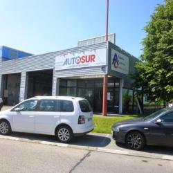 Autosur