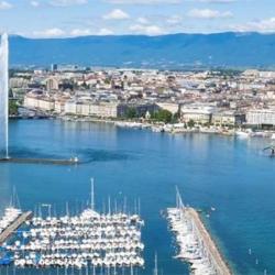 Alpi Immobilier